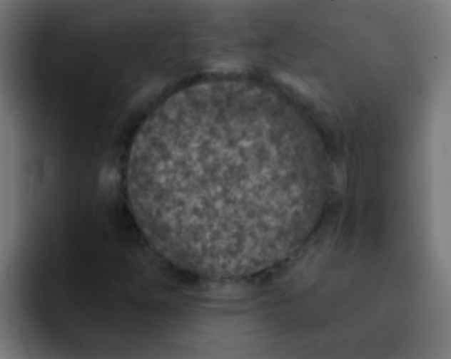 X0000092081254200710031130