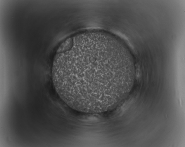 X0000092081255200710031130