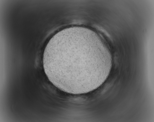 X0000092081256200710031130