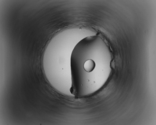 X0000092081257200710031130