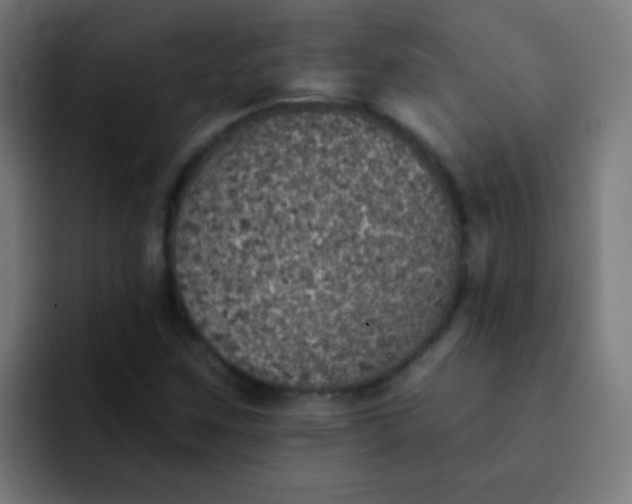 X0000092081259200710031130