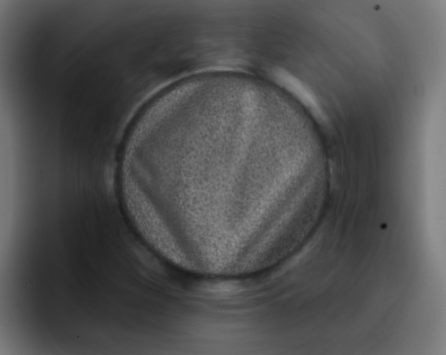 X0000092081260200710031130