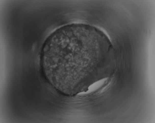 X0000092081263200710031130