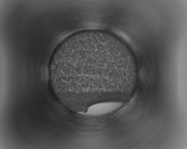 X0000092081267200710031130