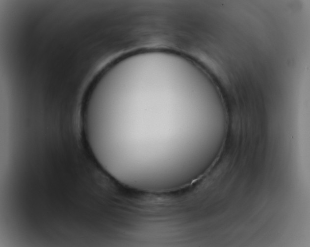 X0000092081270200710031130