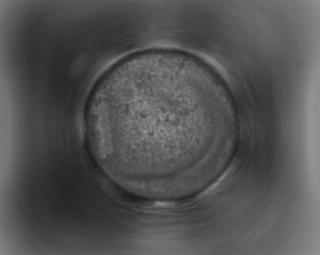 X0000092081271200710031130