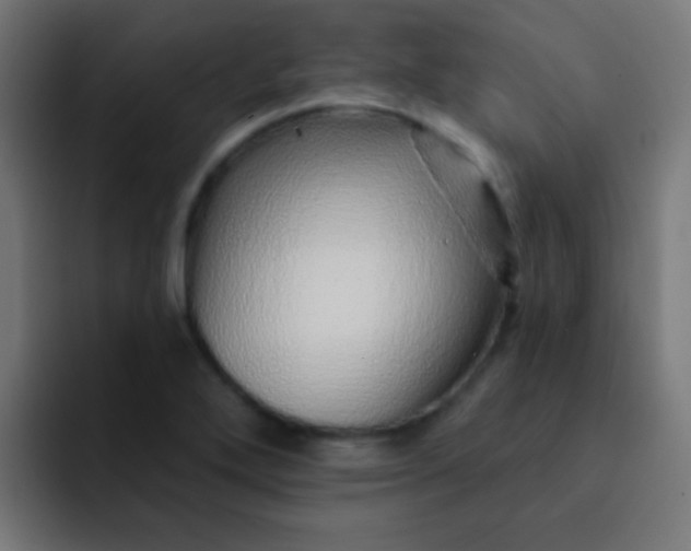 X0000092081272200710031130