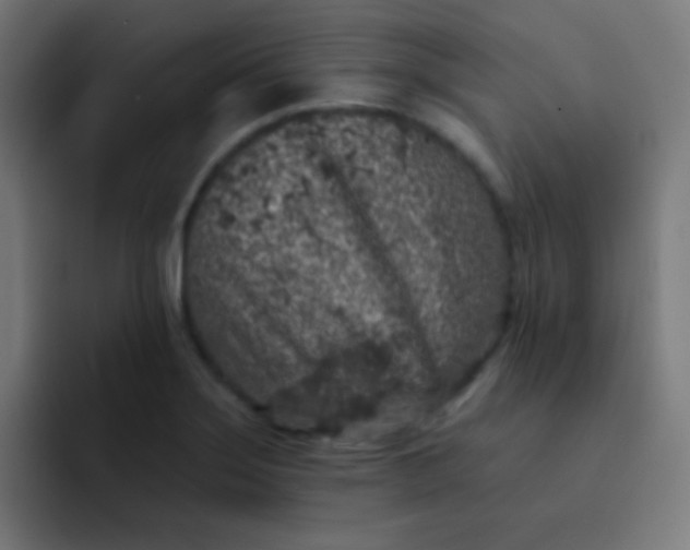 X0000092081275200710031130