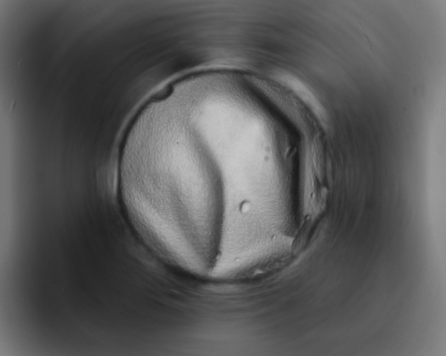 X0000092081276200710031130