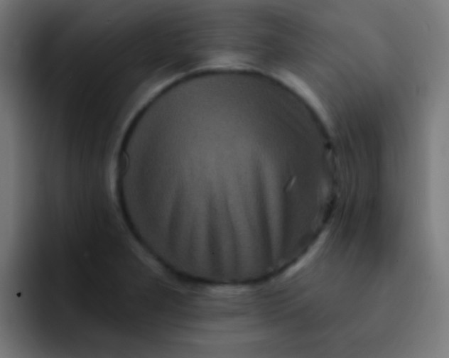 X0000092081277200710031130