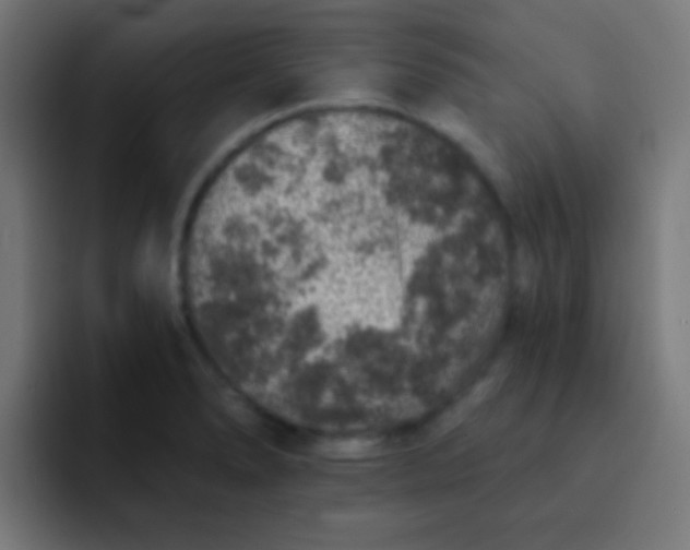 X0000092081278200710031130