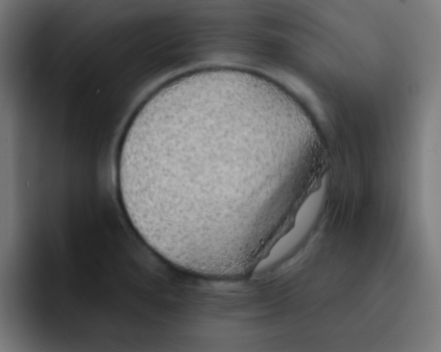 X0000092081280200710031130