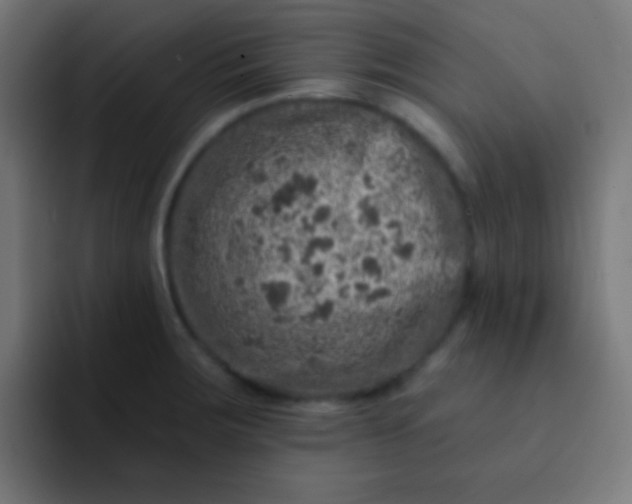 X0000092081283200710031130