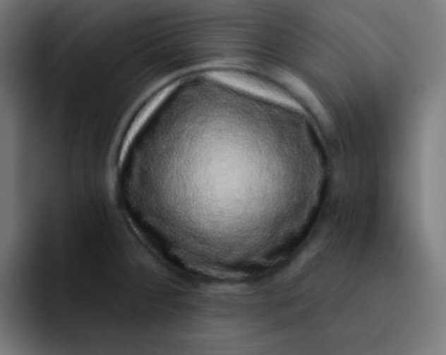 X0000092081284200710031130