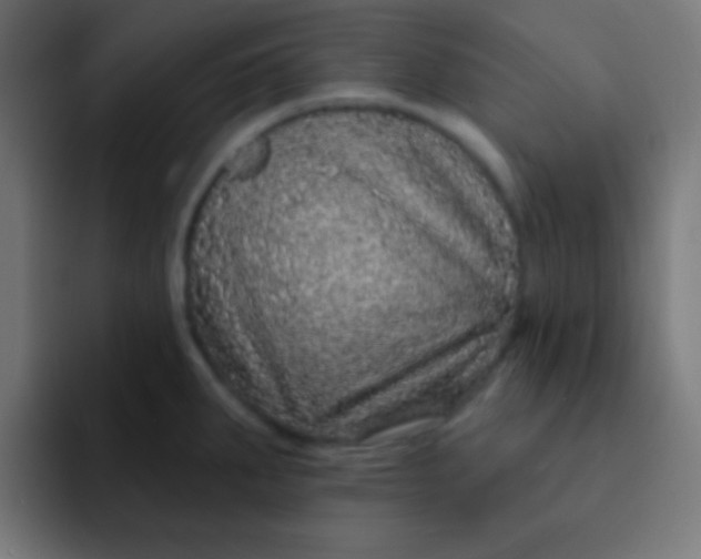 X0000092081287200710031130