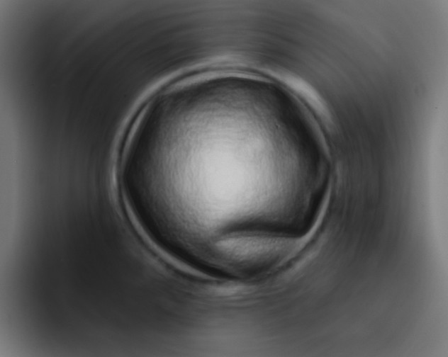 X0000092081288200710031130