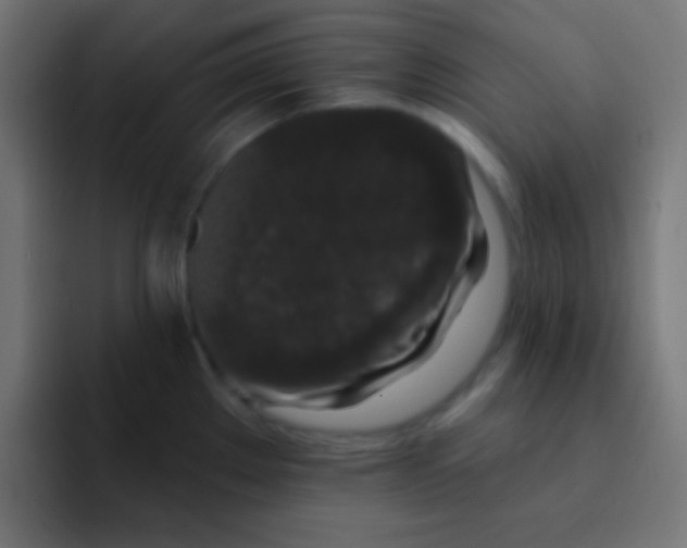 X0000092081289200710031130