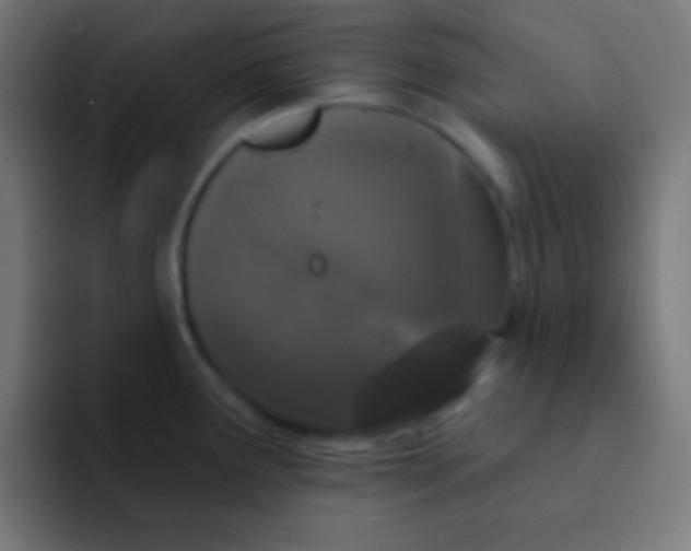 X0000092081291200710031130