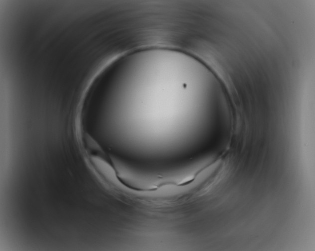 X0000092081293200710031130