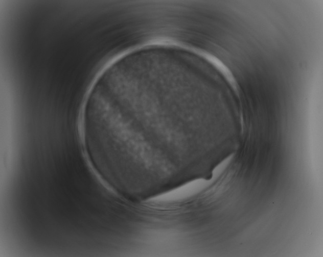 X0000092081295200710031130