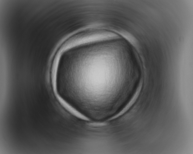 X0000092081296200710031130