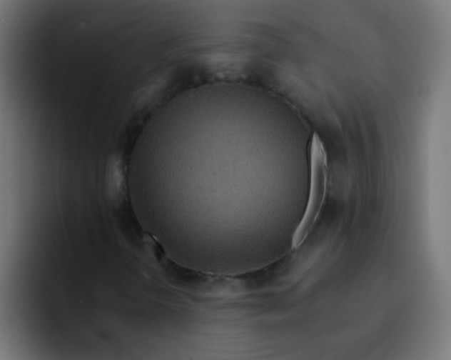 X0000092081298200710031129