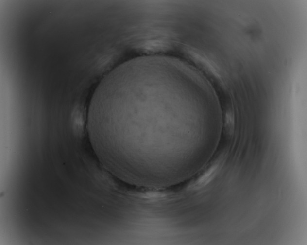 X0000092081300200710031129