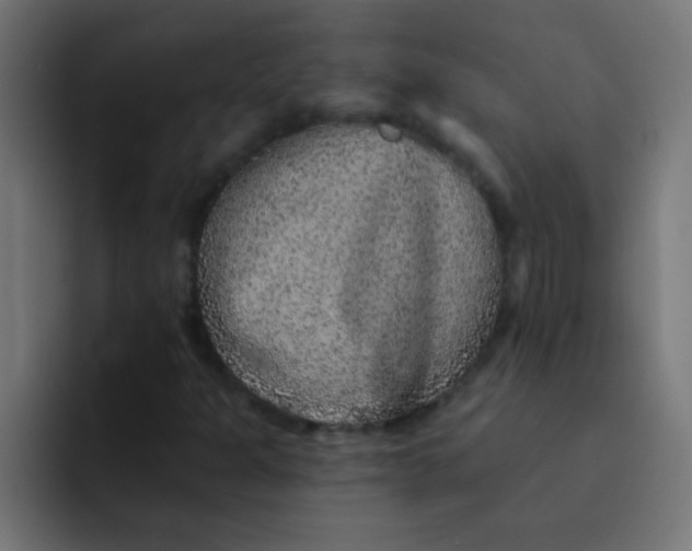 X0000092081301200710031129