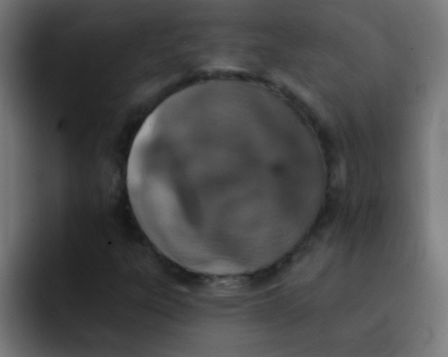 X0000092081303200710031129