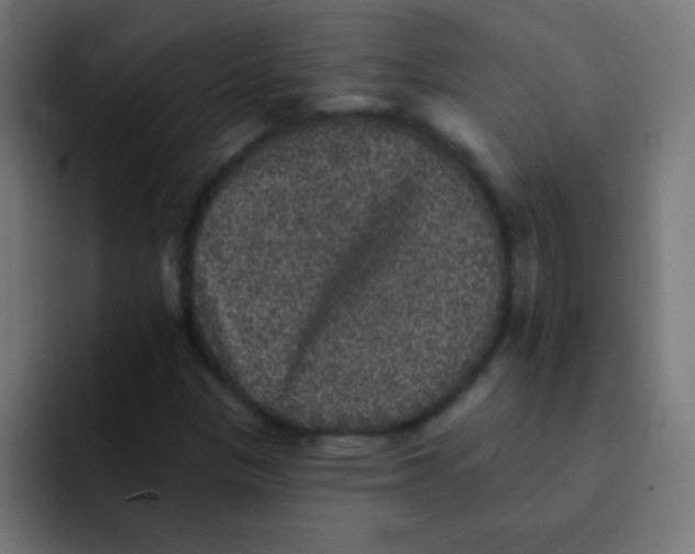 X0000092081305200710031129