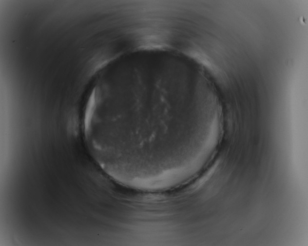 X0000092081306200710031129