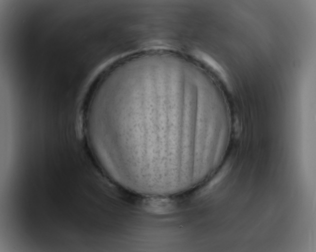 X0000092081310200710031129