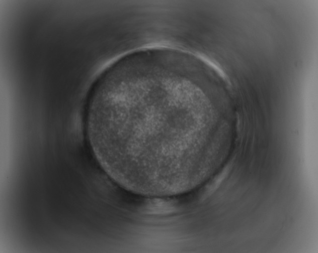 X0000092081311200710031129