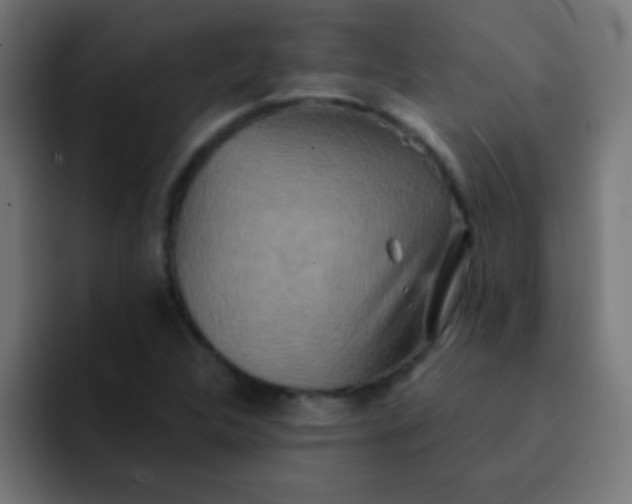 X0000092081312200710031129