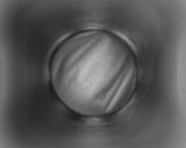 X0000092081317200710031129