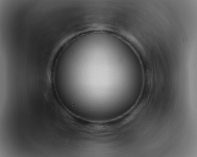 X0000092081318200710031129