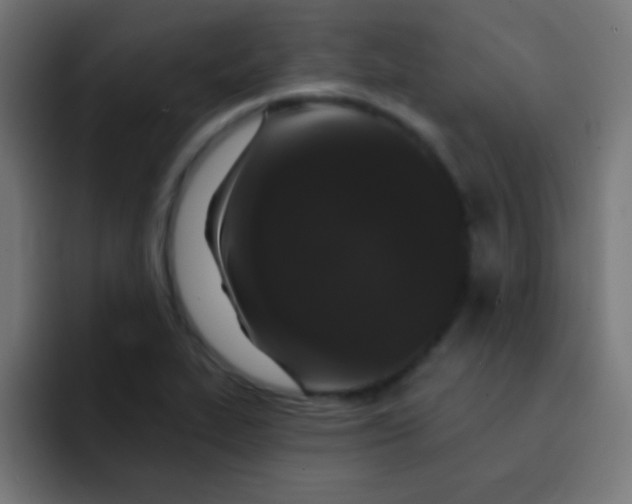 X0000092081319200710031129