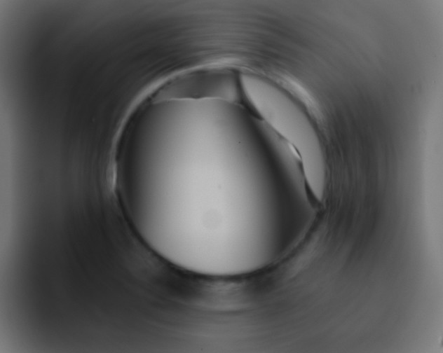 X0000092081324200710031129