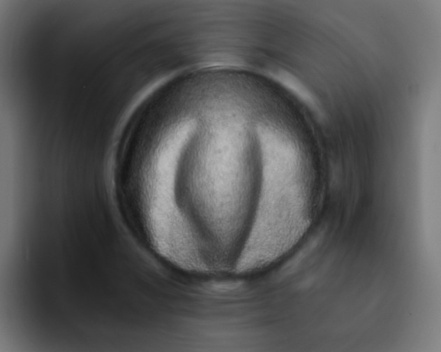 X0000092081325200710031129