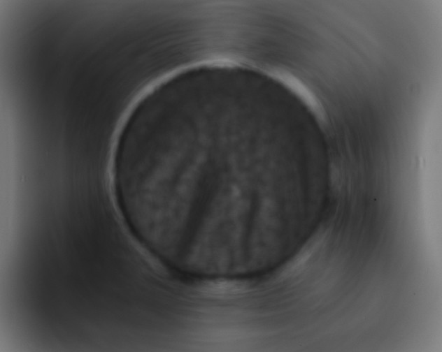 X0000092081327200710031129