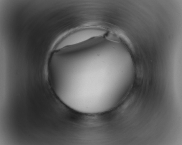 X0000092081328200710031129