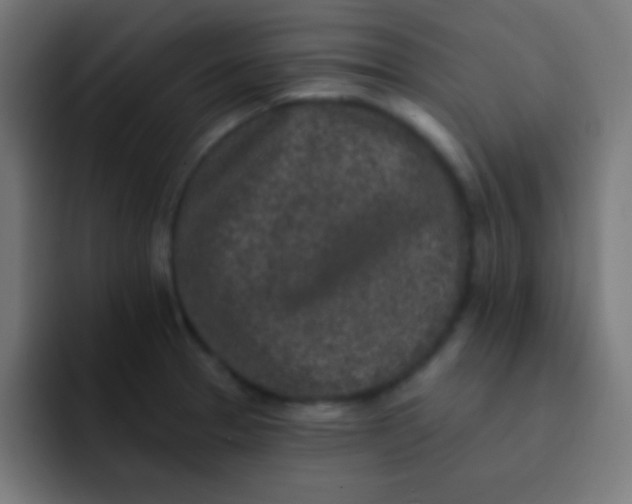 X0000092081329200710031129