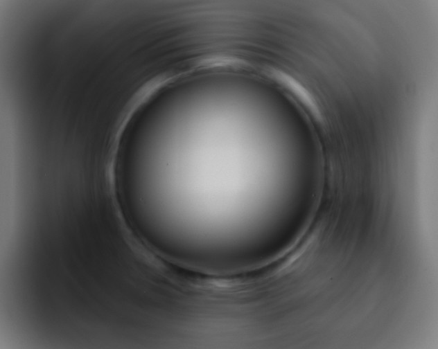 X0000092081330200710031129