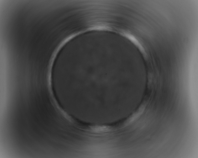 X0000092081331200710031129