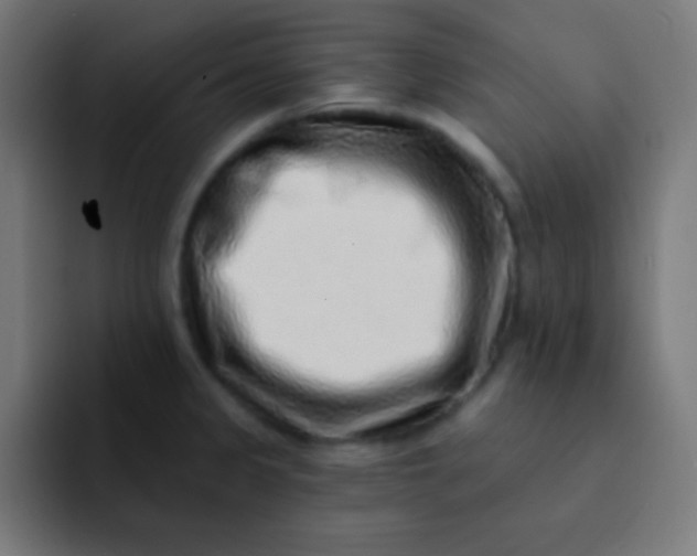 X0000092081333200710031129