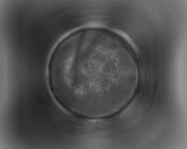 X0000092081335200710031129