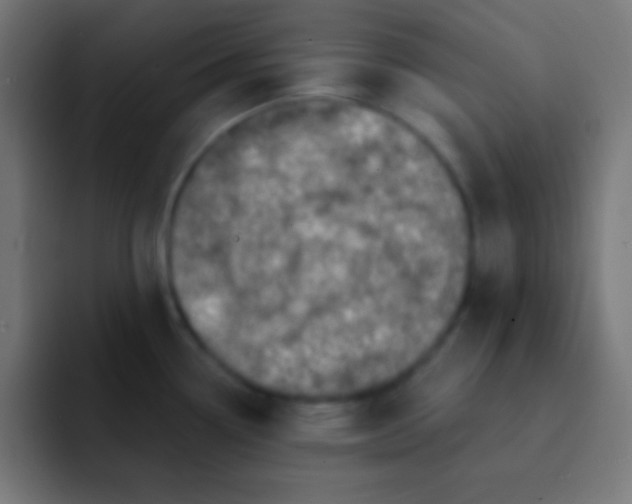 X0000092081338200710031129