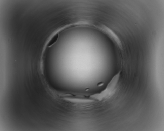 X0000092081340200710031129