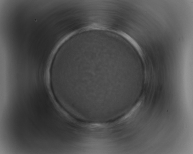 X0000092081341200710031129