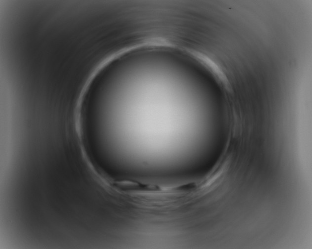 X0000092081342200710031129